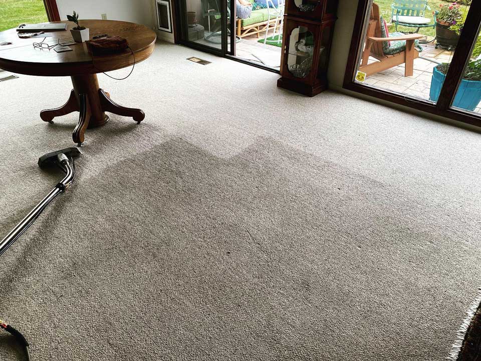carpet cleaning boise